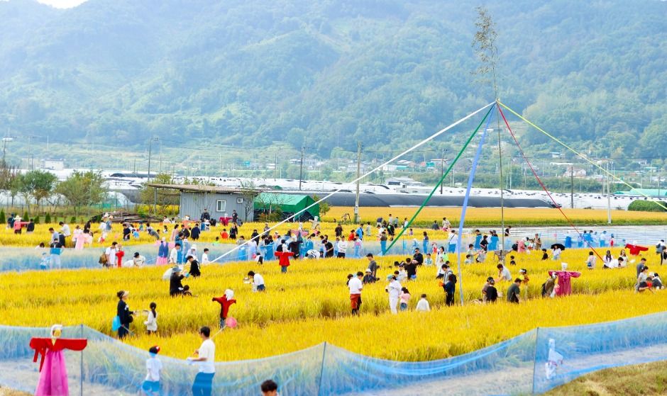 성주가야산황금들녘메뚜기축제 포스터 · 경북 축제