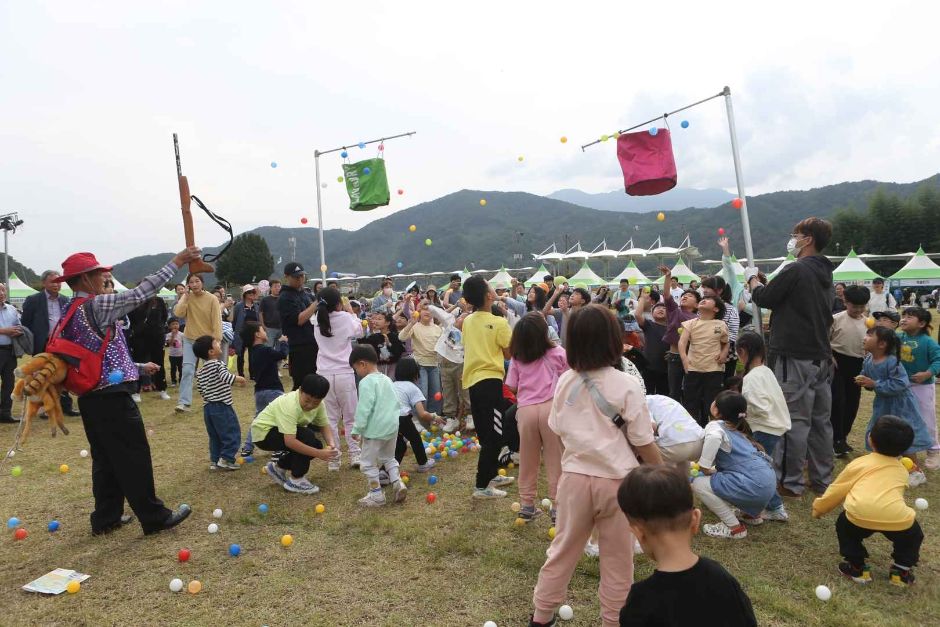 2024 성주가야산황금들녘메뚜기축제 3