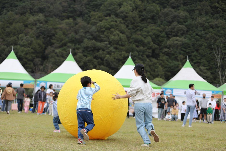 2026 성주가야산황금들녘메뚜기축제 (2).JPG