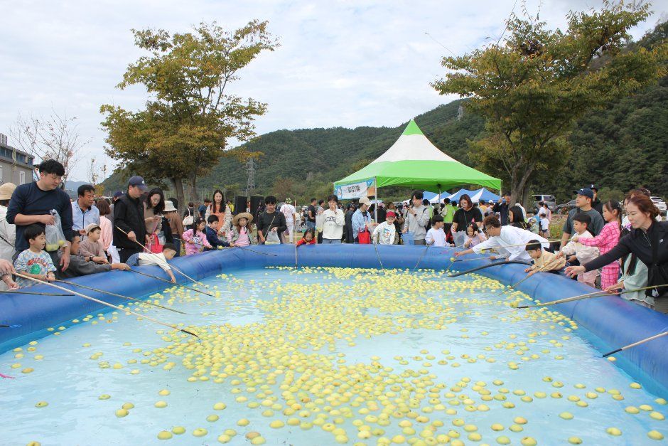 2026 성주가야산황금들녘메뚜기축제 (1).JPG