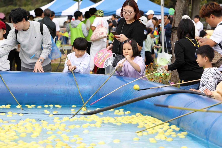 2024 성주가야산황금들녘메뚜기축제 4