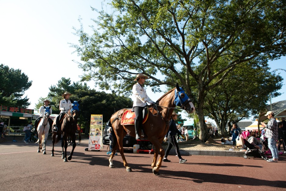 제주마 축제