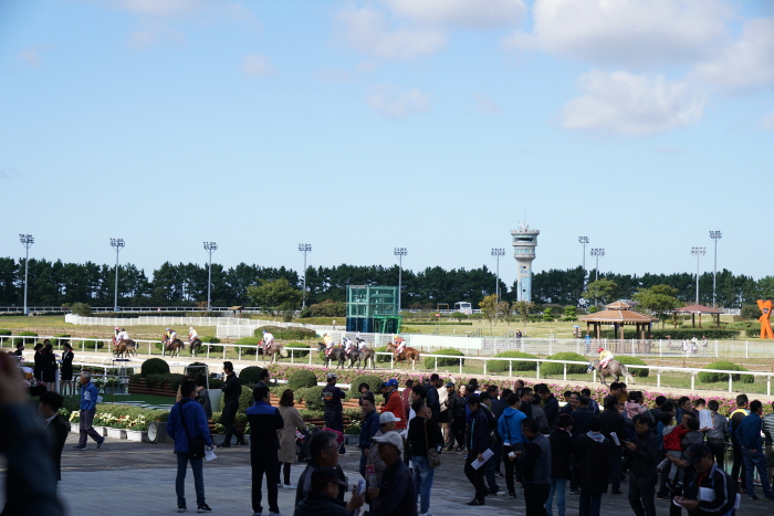 제주마(馬)축제 2019(4)