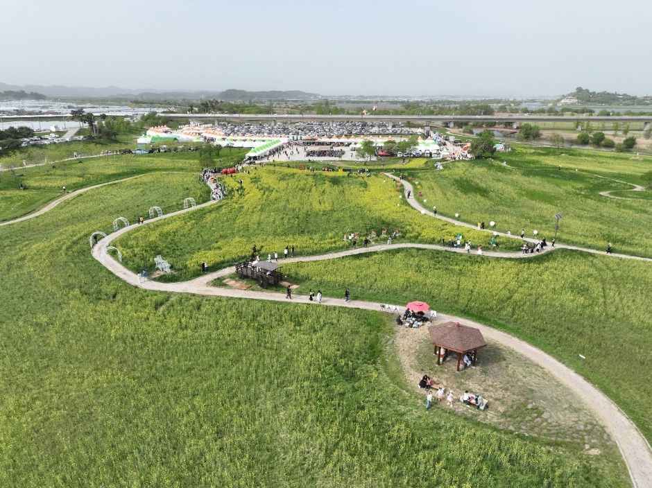 2026 부여세도 방울토마토 & 유채꽃축제 (6).jpg