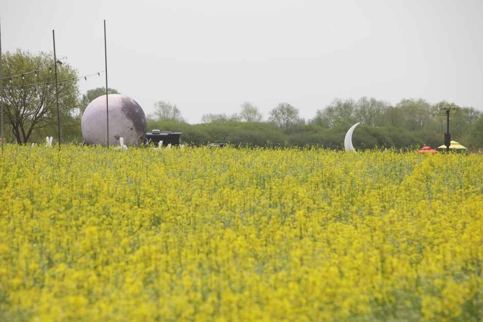 2026 부여세도 방울토마토 & 유채꽃축제 (5).JPG
