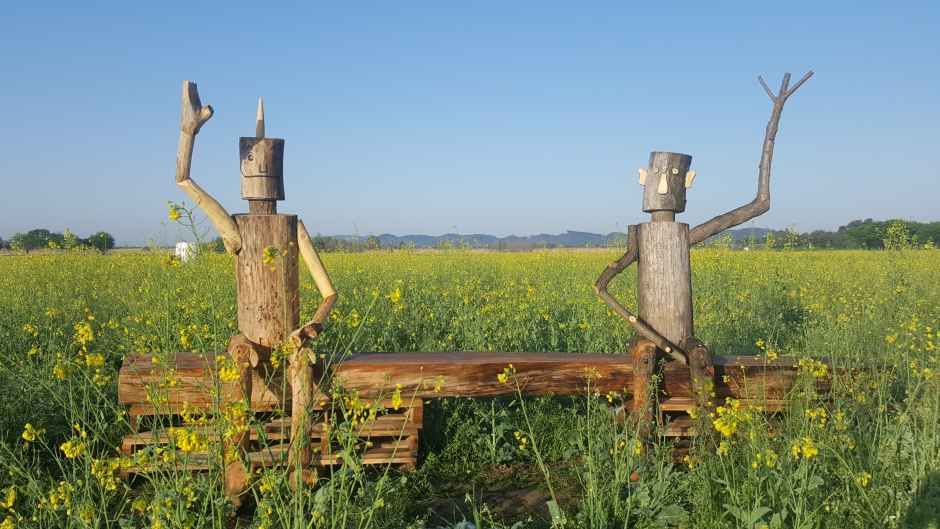 2026 부여세도 방울토마토 & 유채꽃축제 (4).jpg