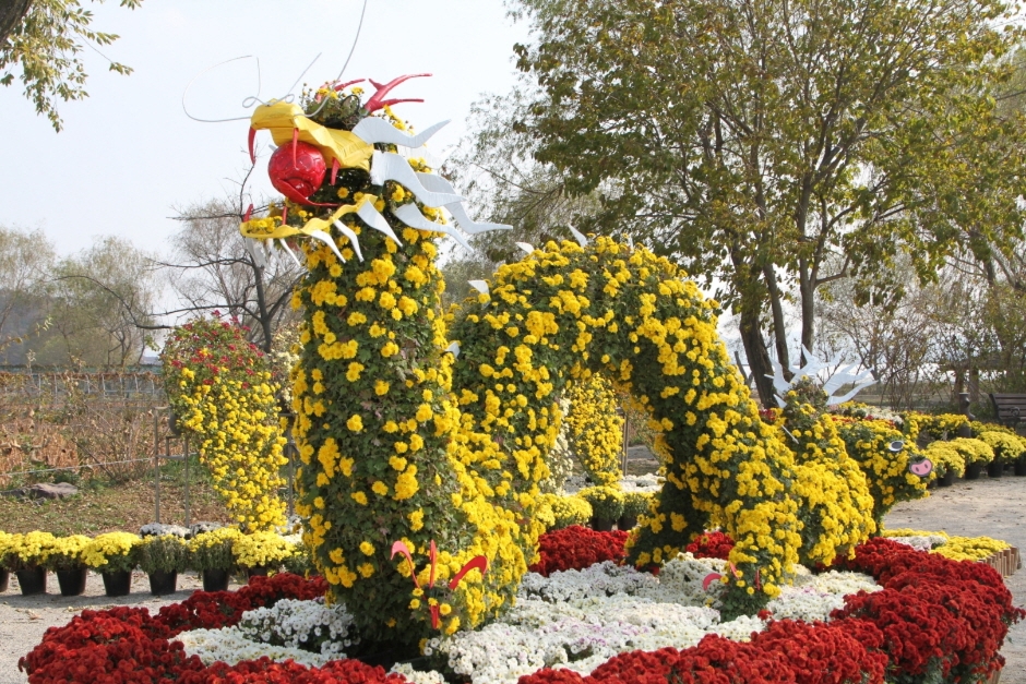 백제고도부여국화축제 (1)