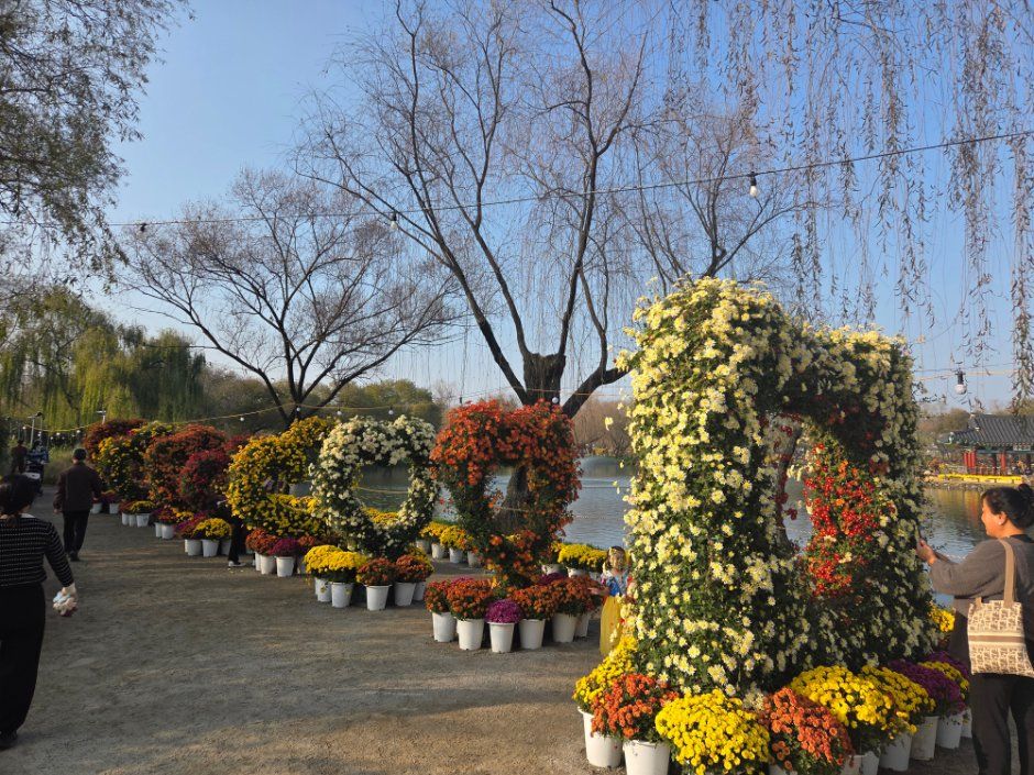 2026 부여국화축제 (6).jpg
