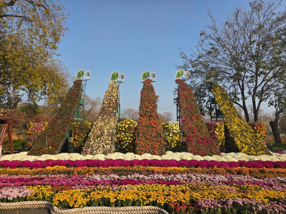 2026 부여국화축제 (5).jpg