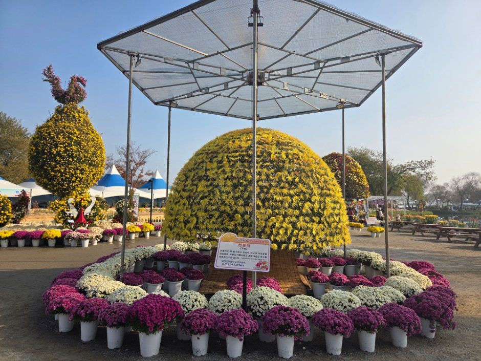 2026 부여국화축제 (4).jpg