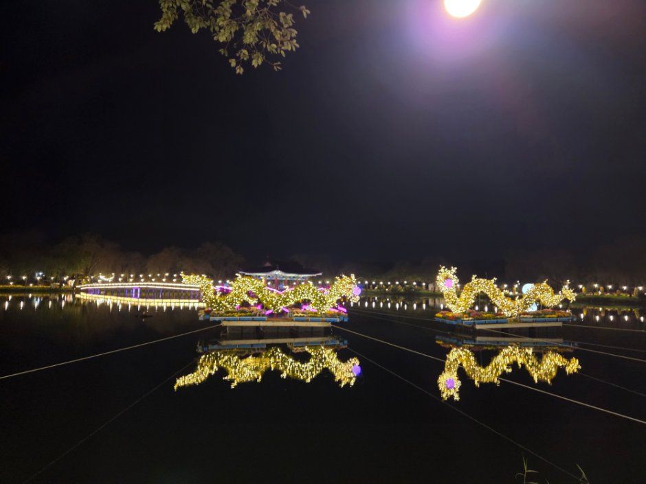 2026 부여국화축제 (3).jpg