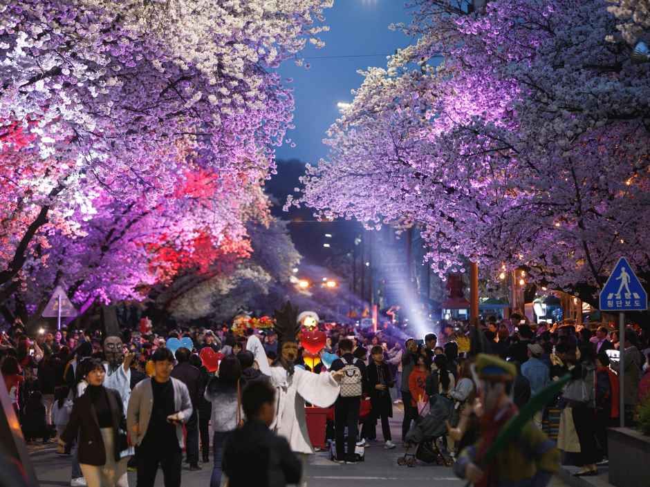 2026 안동벚꽃축제 (2).jpg
