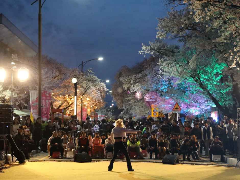 2026 안동벚꽃축제 (7).JPG