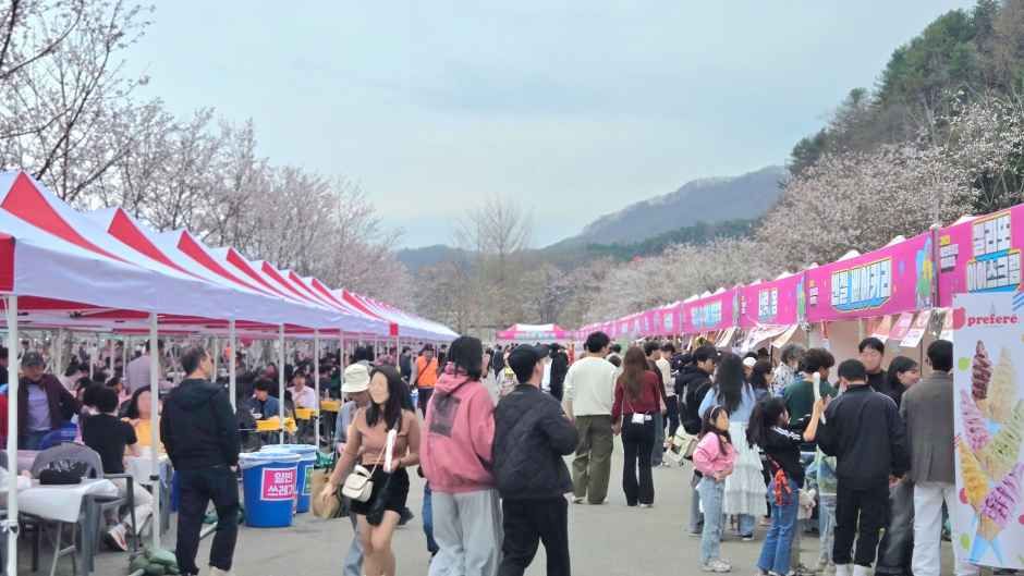 2026 에덴벚꽃길 벚꽃축제 (3).jpg