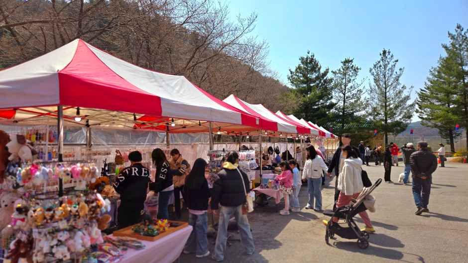 2026 에덴벚꽃길 벚꽃축제 (2).jpg