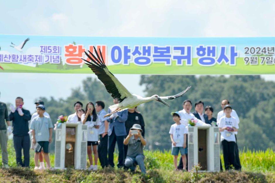 예산황새축제 (5)