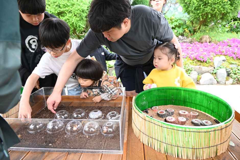 2026 함평나비대축제 (6).JPG