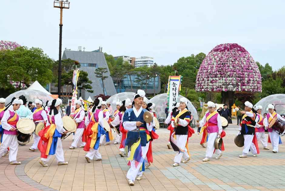 2026 함평나비대축제 (5).JPG