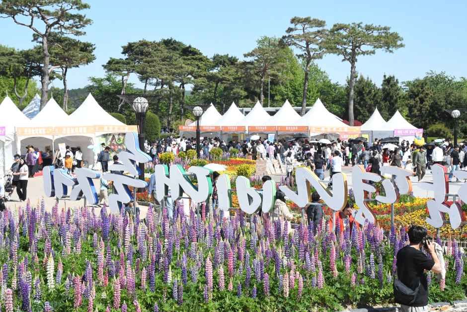 2026 함평나비대축제 (8).JPG