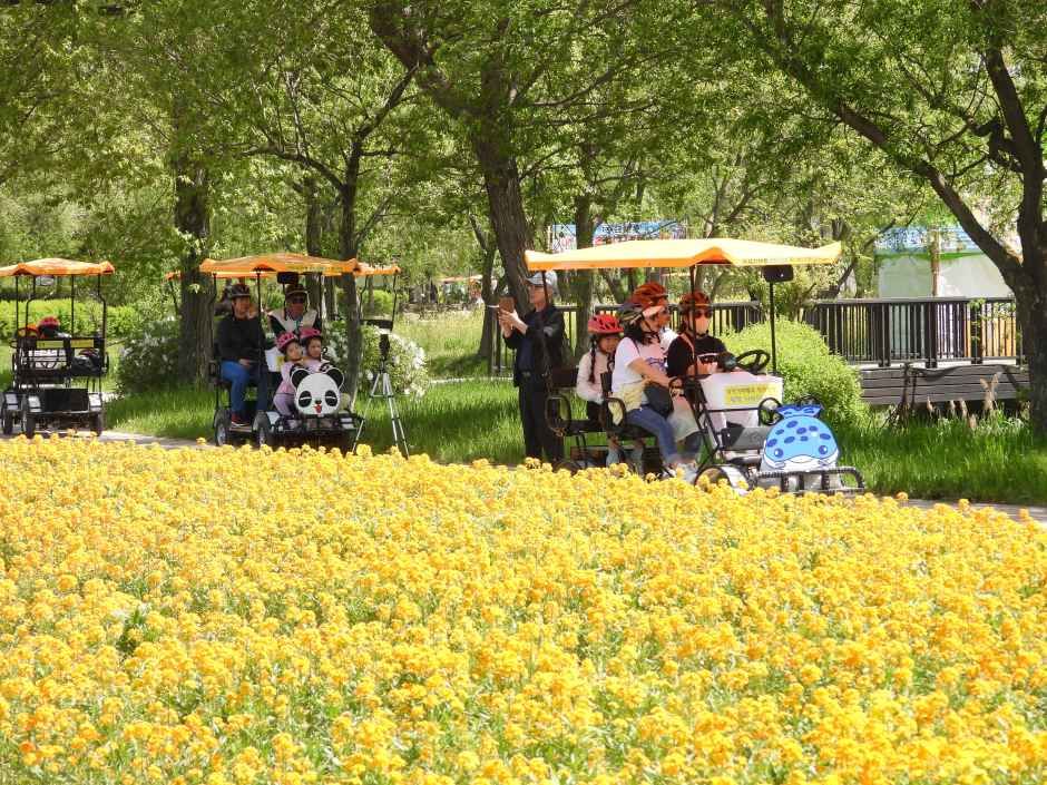 2026 함평나비대축제 (5).JPG