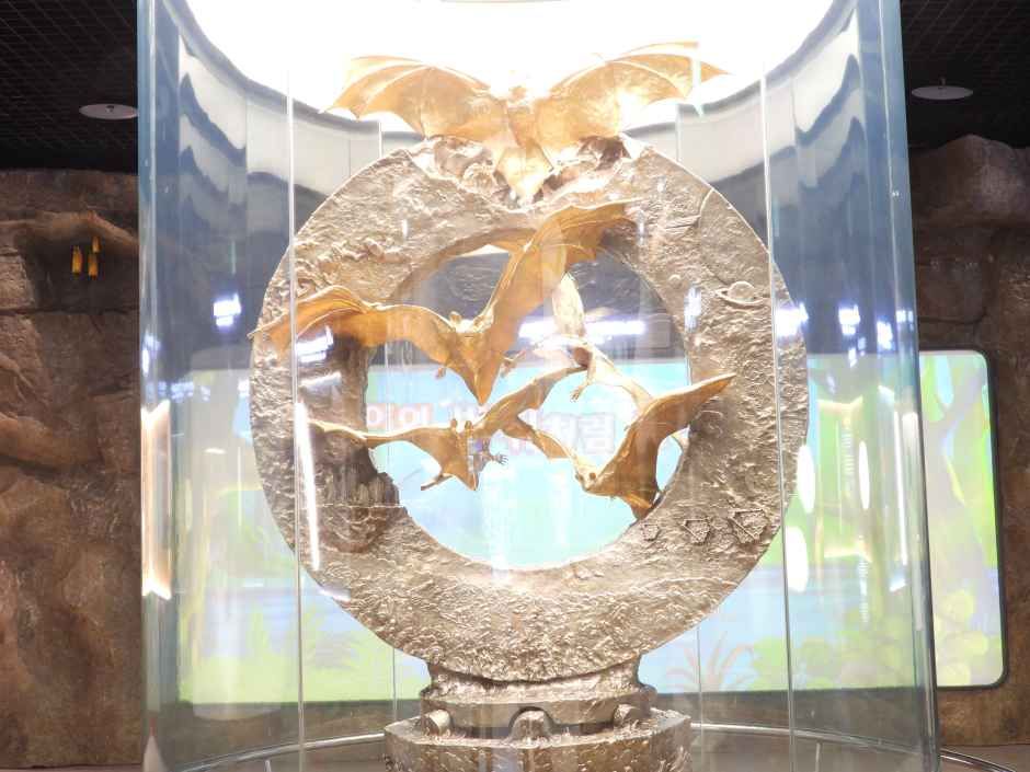 2026 함평나비대축제 (4).JPG