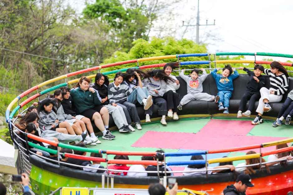 2026 청춘양구 곰취축제 (5).jpg