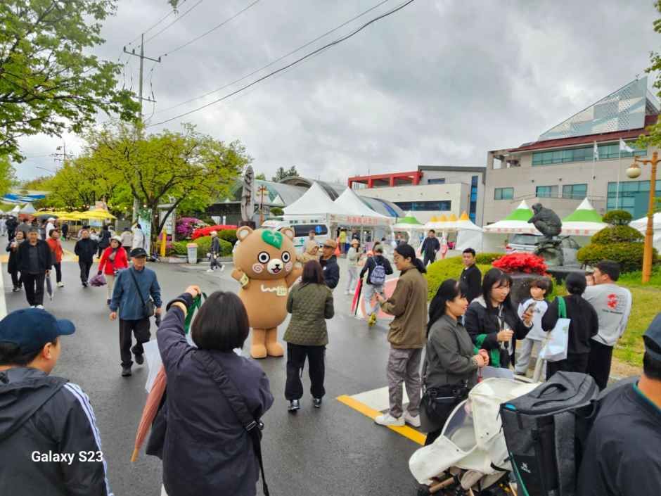 2026 청춘양구 곰취축제 (2).jpg