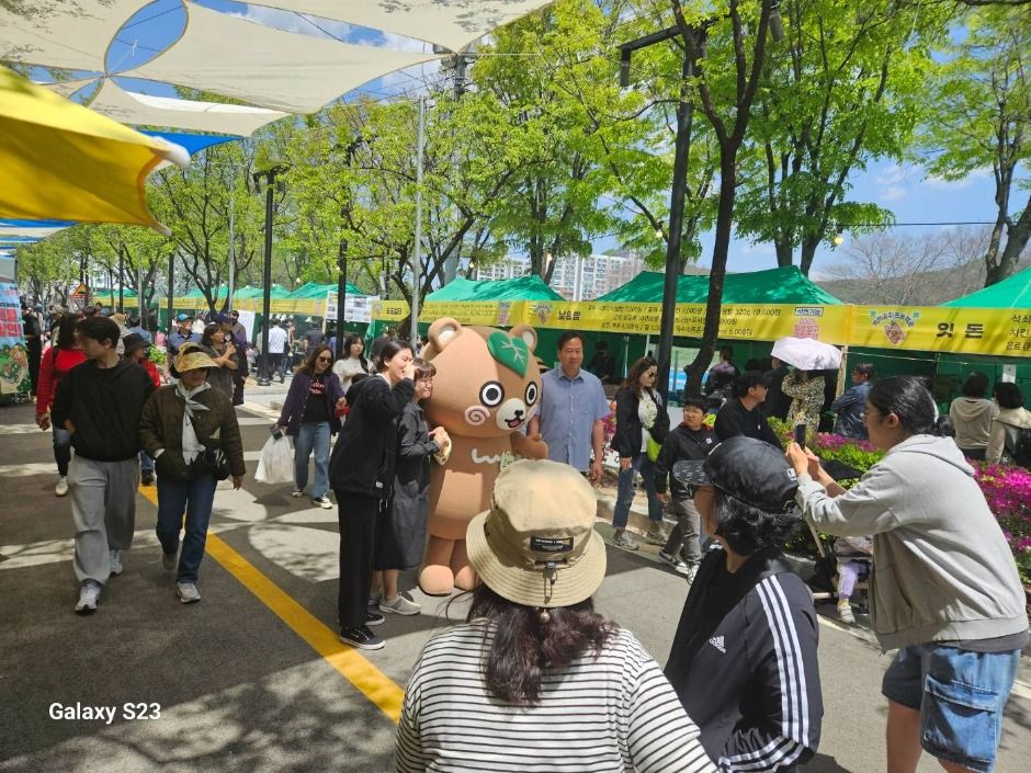 2025 청춘양구 곰취축제 6
