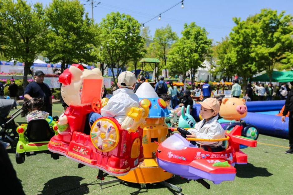 2025 청춘양구 곰취축제 8