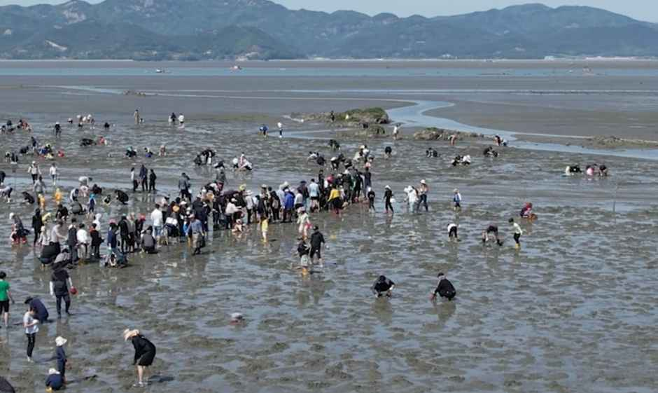 2026 하전바지락 오감체험 페스티벌 (4).png