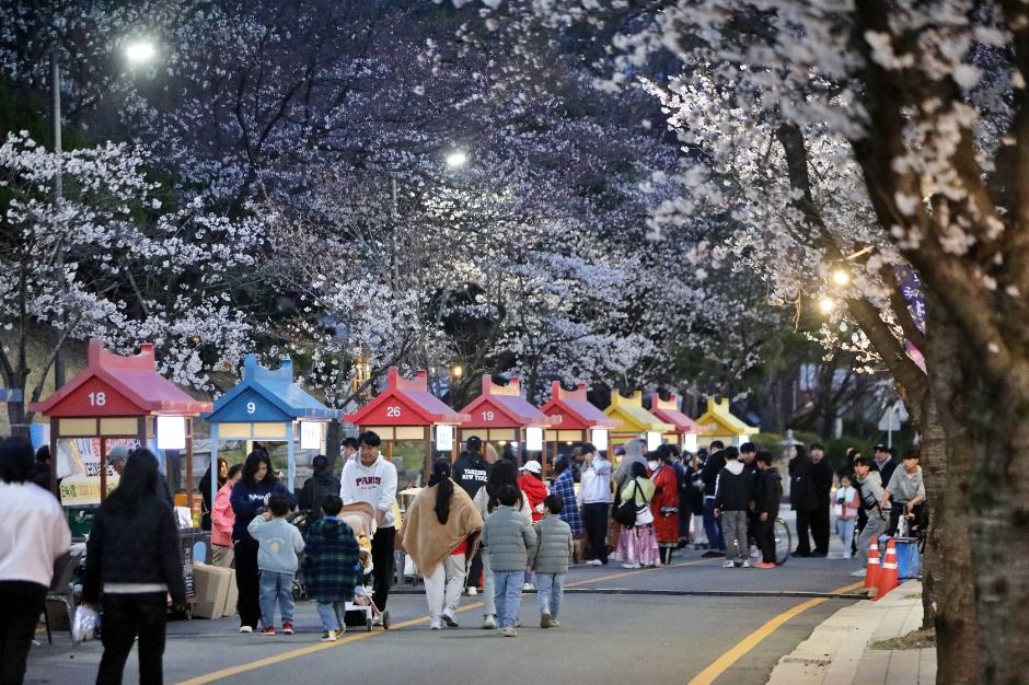  2025 부여 국가유산 야행 15