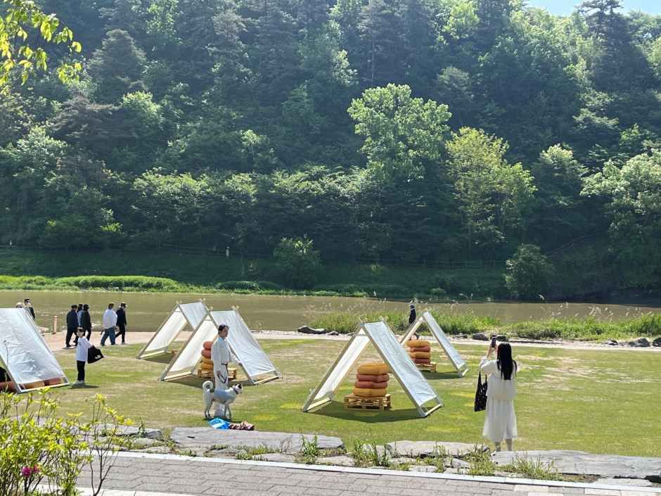 2026 생거진천 농다리축제 (1).JPG