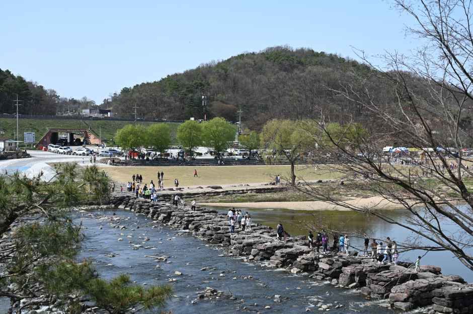2026 생거진천 농다리축제 (4).JPG