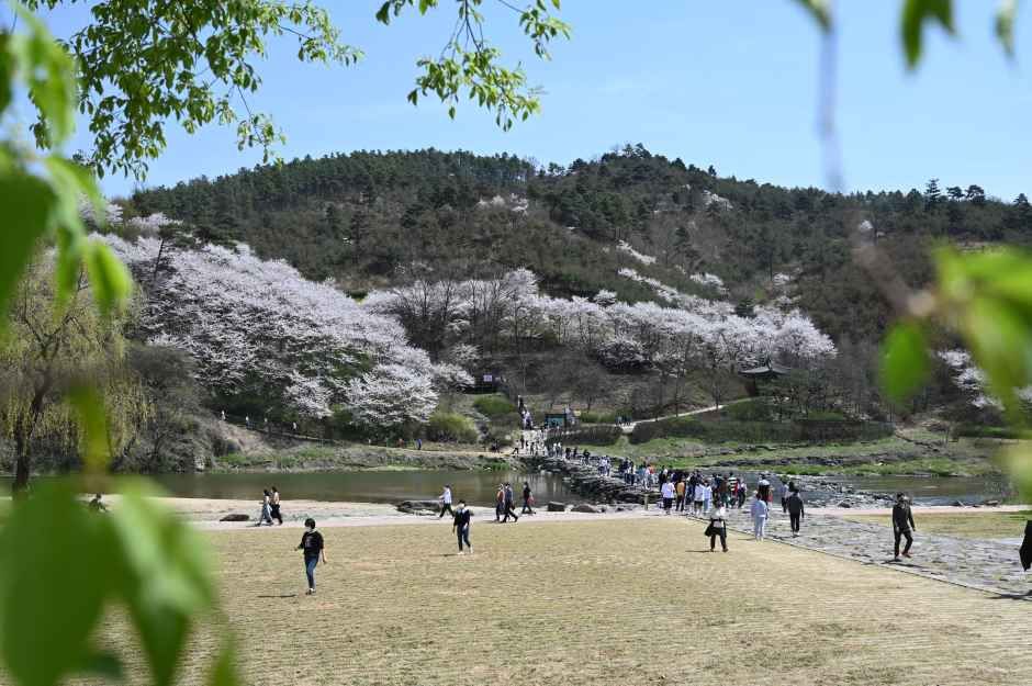 2026 생거진천 농다리축제 (2).JPG