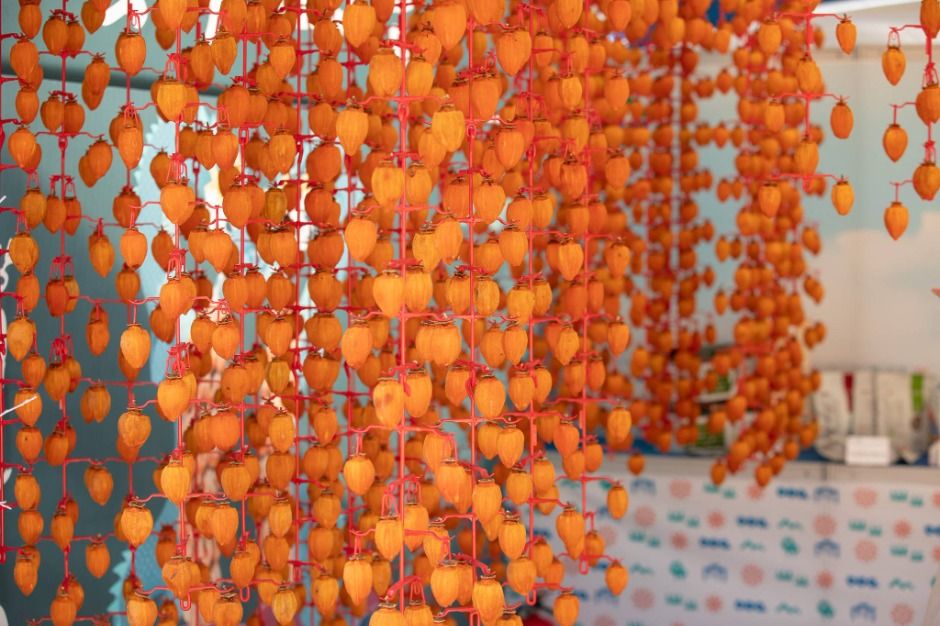 2026 지리산 함양고종시 곶감축제 8