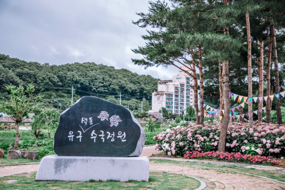 공주 유구색동수국정원 꽃 축제_1