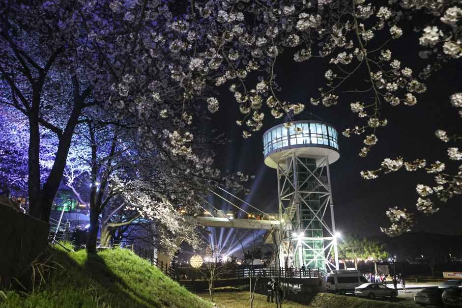 2026 물금벚꽃축제 (3).jpg