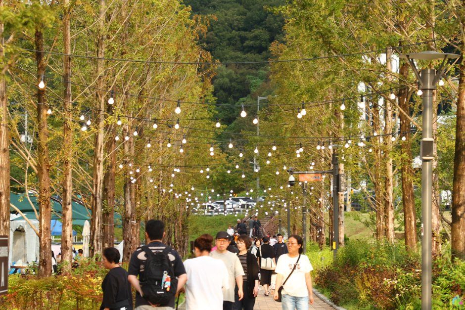 2026 의왕백운호수축제 (4).jpg