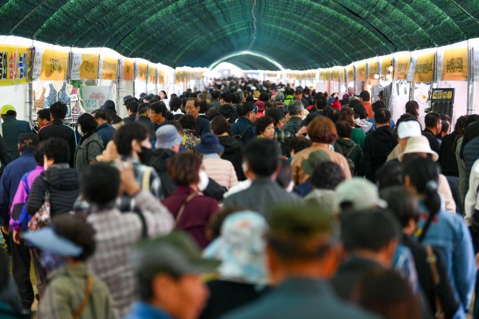2025 경북영주 풍기인삼축제 1