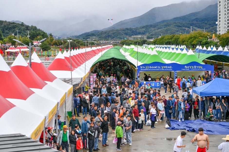 2025 경북영주 풍기인삼축제 2