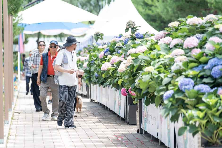 2026 강진수국길축제 (2).jpg