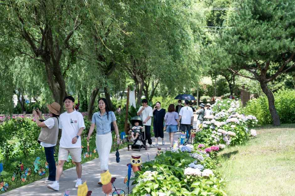 2026 강진수국길축제 (9).jpg