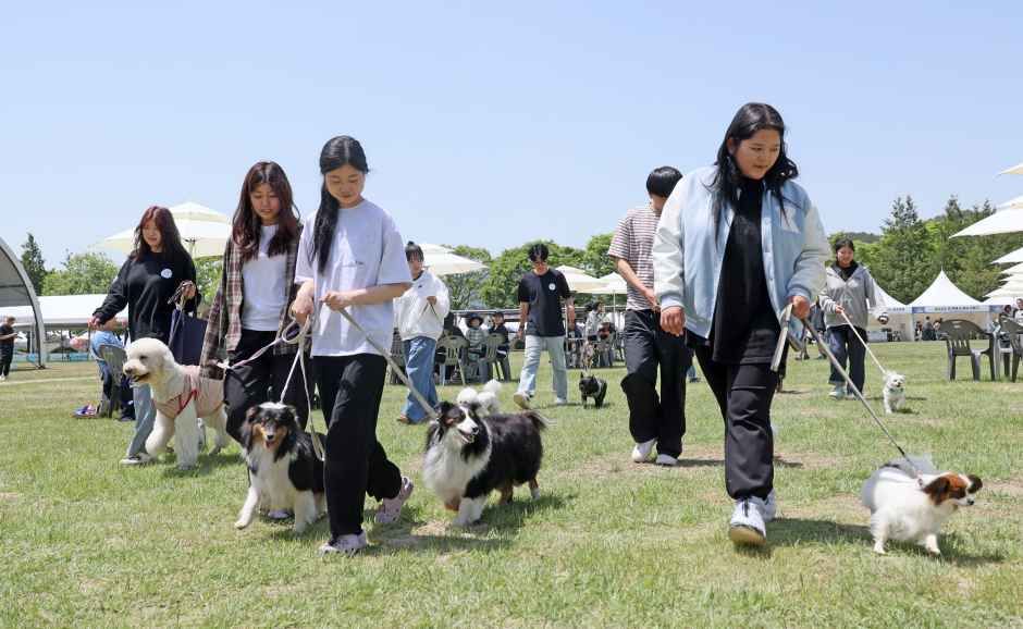 2026 임실N펫스타 (4).JPG