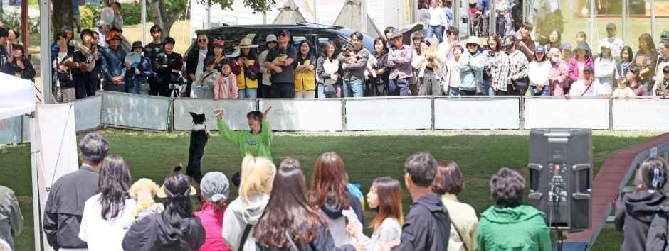 2026 임실N펫스타 (7).JPG