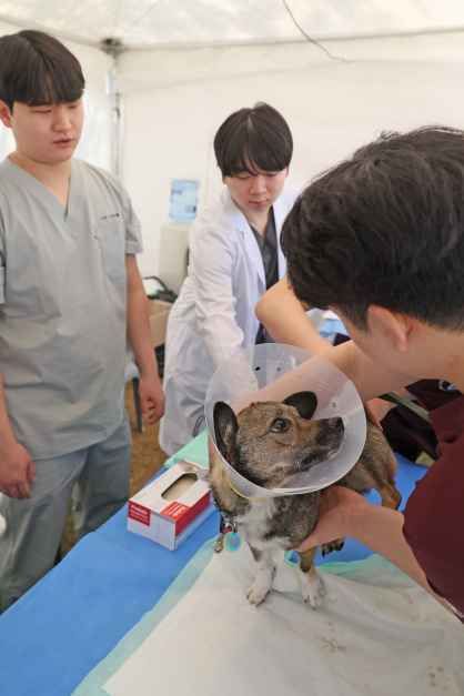 2026 임실N펫스타 (3).JPG