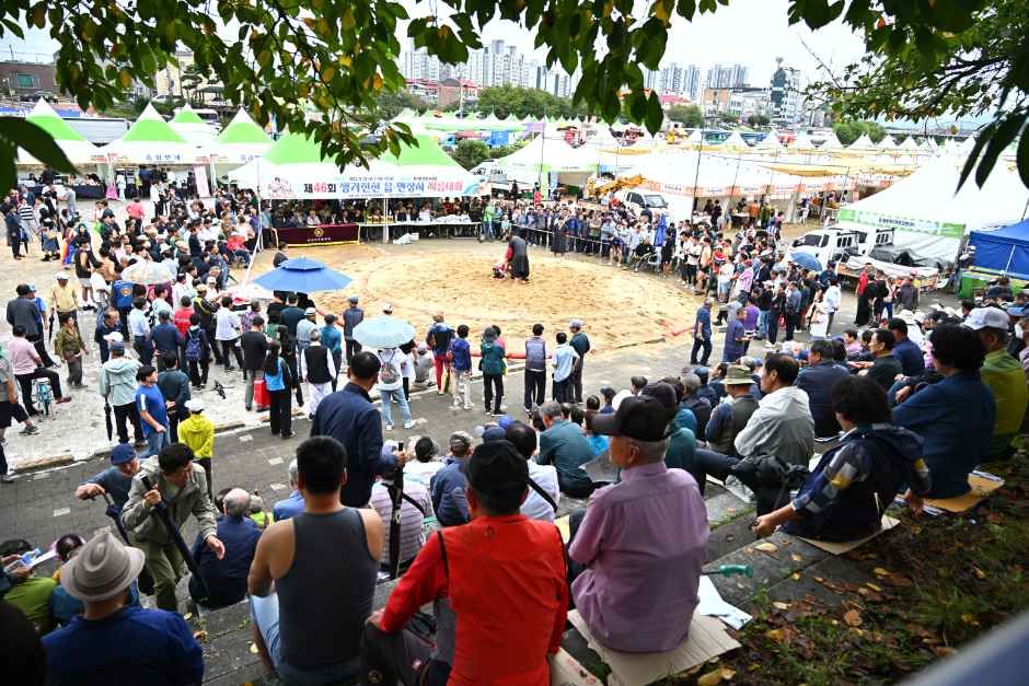 2026 생거진천 문화축제 (2).JPG