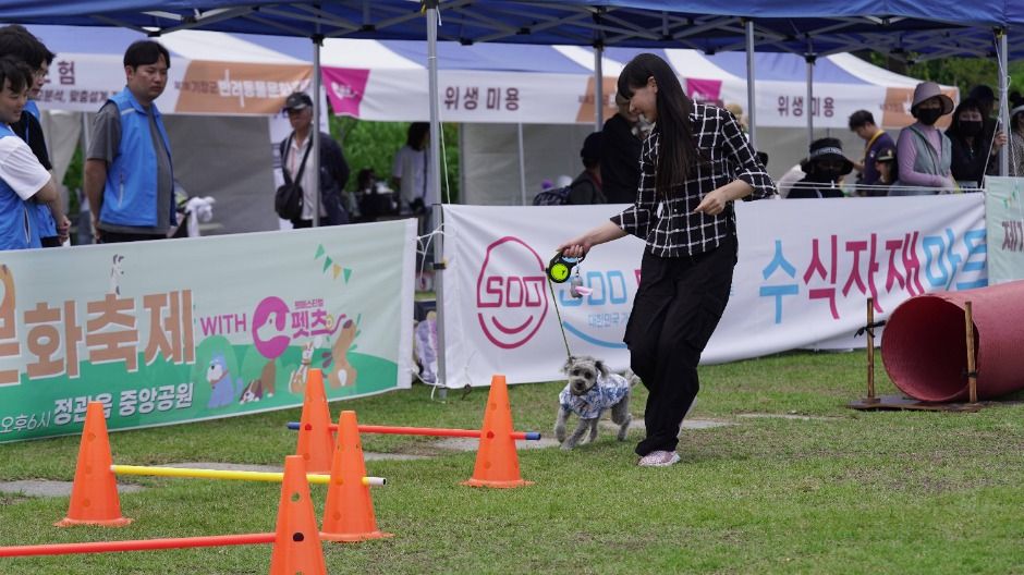 2025 기장군반려동물문화축제 2