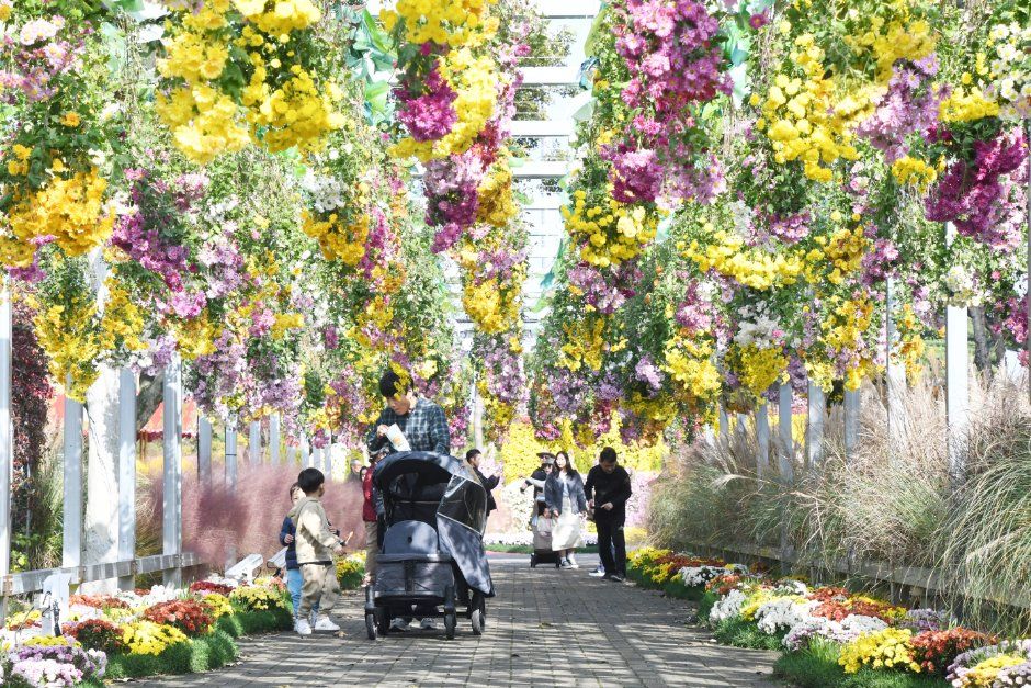 2026 대한민국 국향대전 (5).JPG
