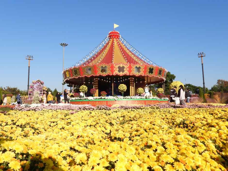 2026 대한민국 국향대전 (1).JPG