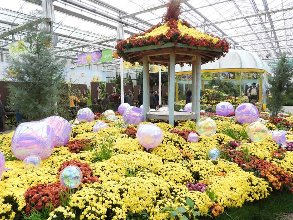 2026 대한민국 국향대전 (6).JPG